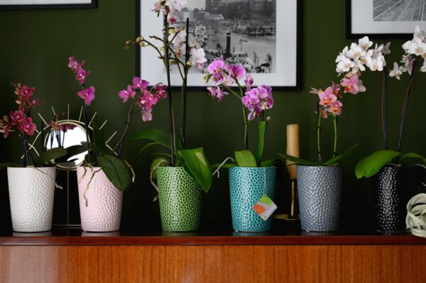 Orhideepott Barcelona Ø13x h15cm must