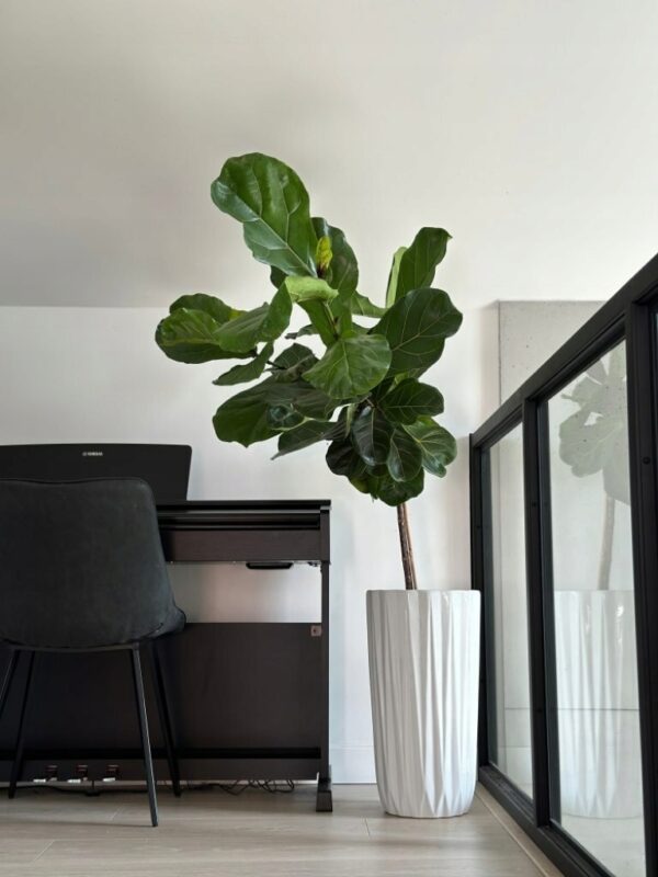 Lillepott Sooned Ø30x h56cm valge