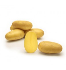 Seemnekartul ‘Sunshine’ 5kg