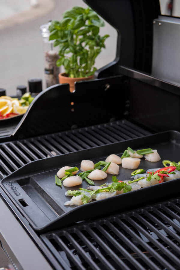 Grillplaat malmist 24x47,5x h2cm