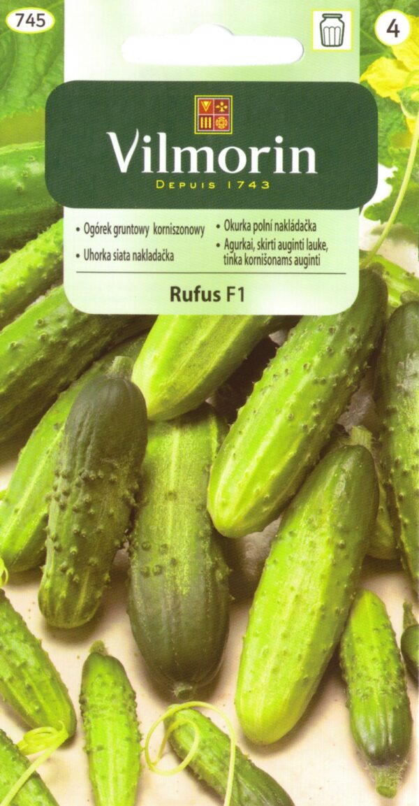 Kurk 'Rufus' F1
