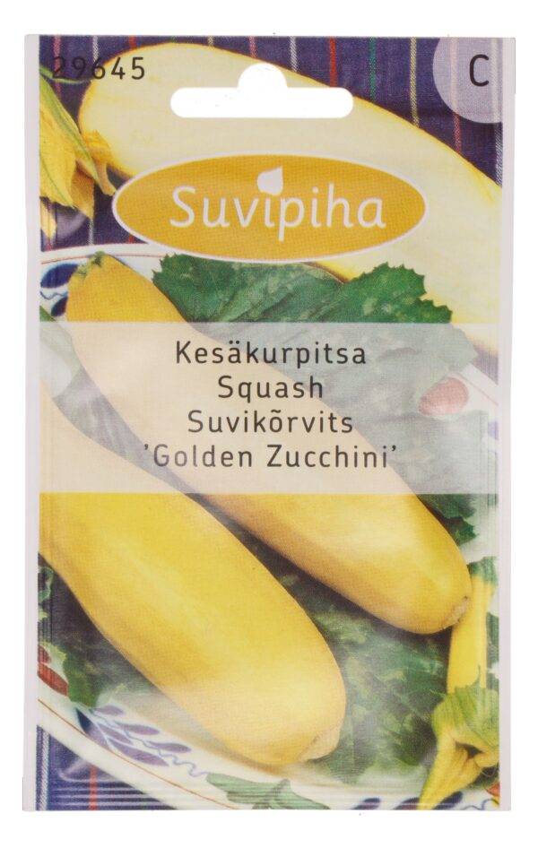 Suvikõrvits 'Golden Zucchini' 13s