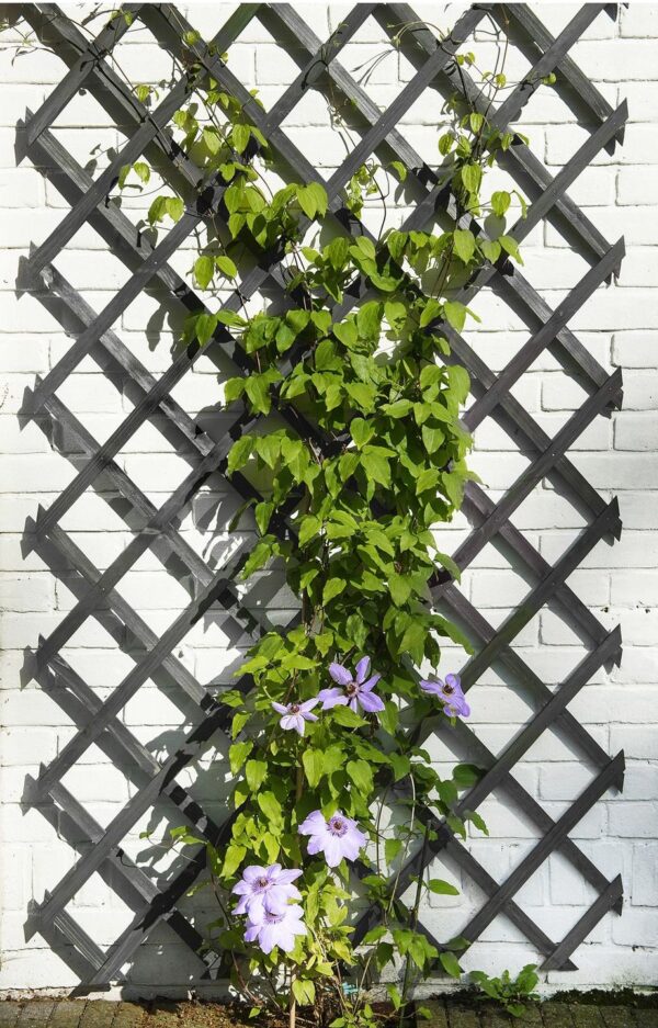 Võresein Nature puidust antratsiit 100x h200cm