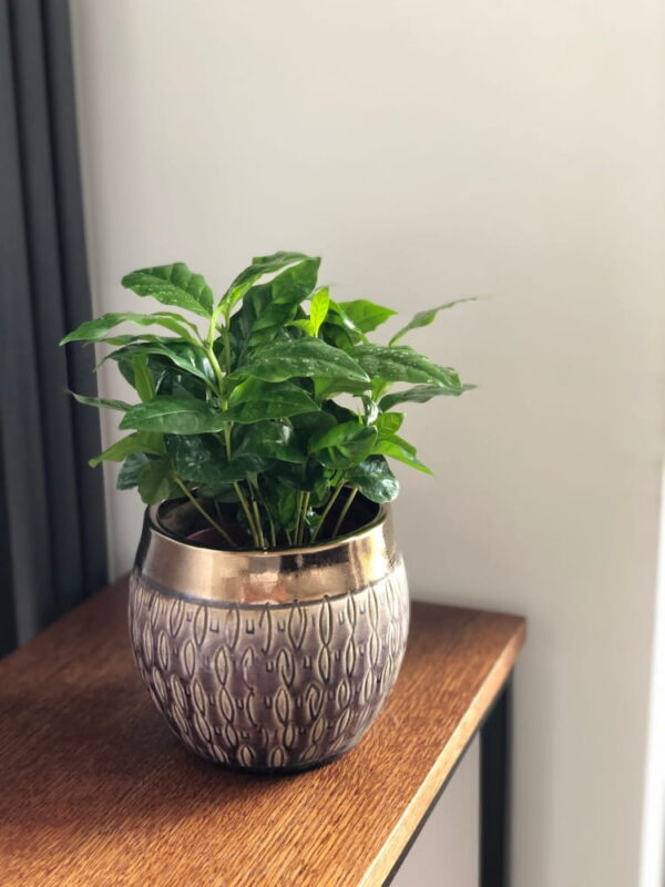 Lillepott Vintage Ø16x h14cm lilla