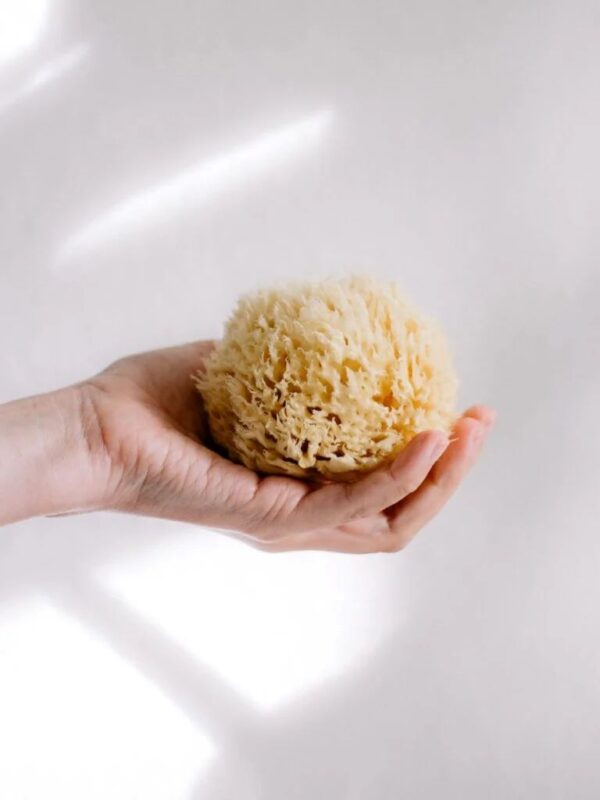 Looduslik dušikäsn