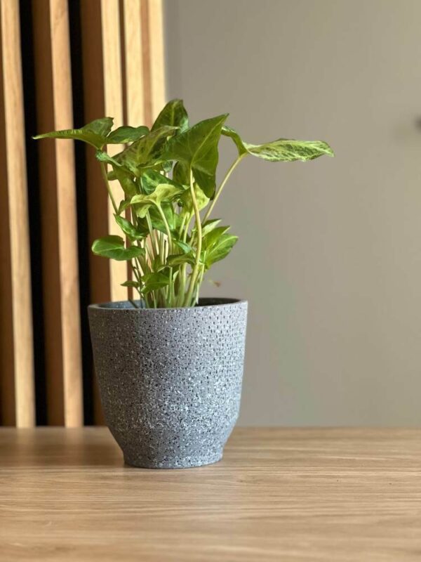 Lillepott Terrazzo Ø14x h14cm must