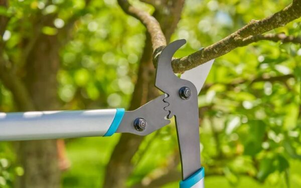 Oksatangid Gardena EnergyCut Basic