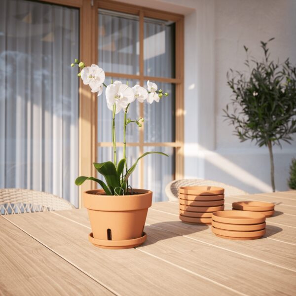 Savipott orhideele Amalia Ø21cm pruun