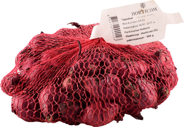 Tippsibul 'Red Karmen'