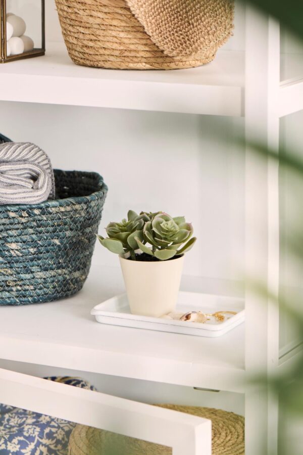 Kunsttaim sukulent potis erinevad 1tk