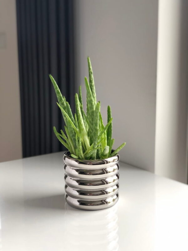 Lillepott Moon Ø14x h14cm hõbedane