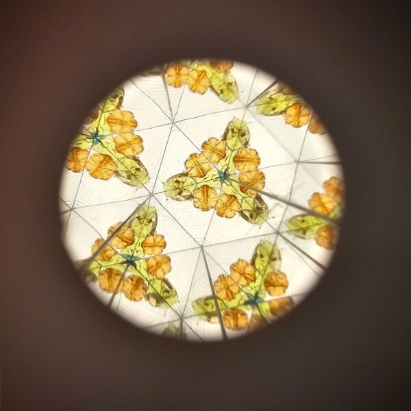 Kaleidoskoop Forest Friends Ø4,5x 19cm