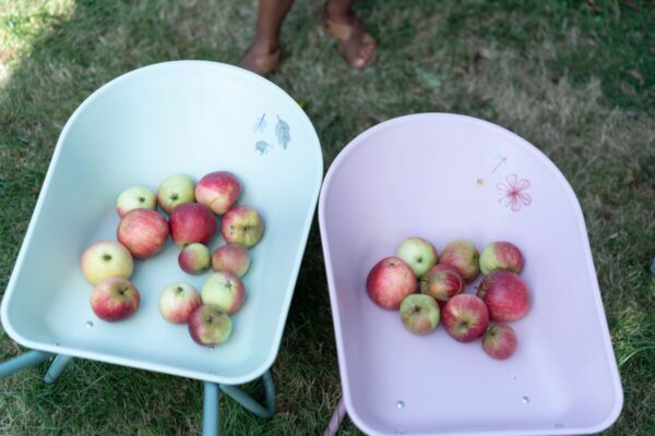 Aiakäru Forest Friends roheline 79x39x50cm