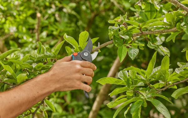 Oksakäärid Gardena PremiumCut Pro​ Fresh Wood