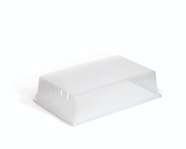 Kaas ettekasvatuse alusele Solid 24x38cm