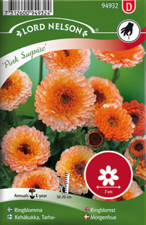 Harilik saialill ‘Pink Surprise’