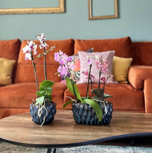 Lillepott Vintage 29x13x h16cm sinine