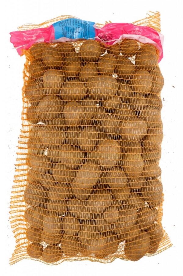 Seemnekartul 'Gala' B 10kg