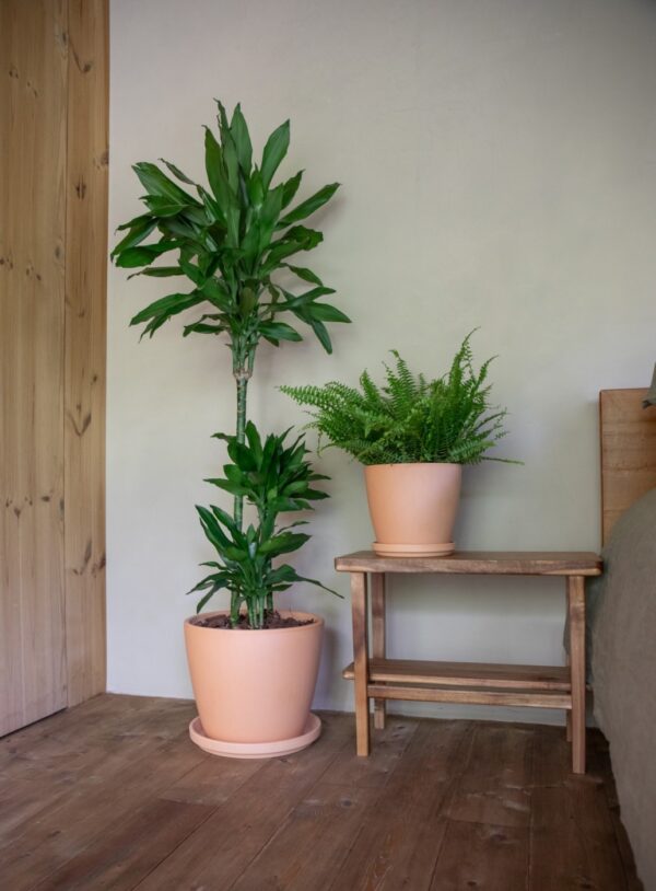 Savipoti alus Artevasi Ø19cm helepruun