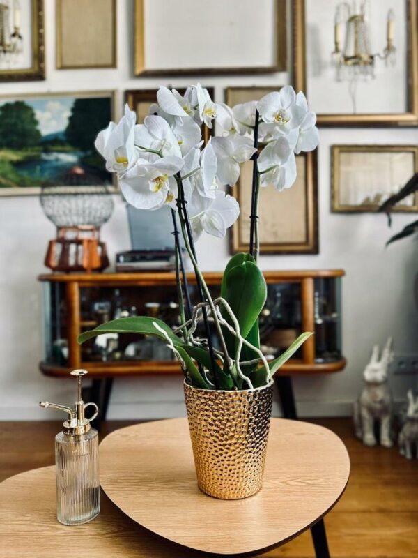 Lillepott Moon Ø13x h15cm kuldne