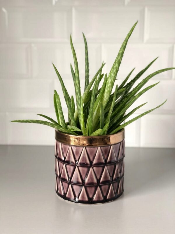 Lillepott Vintage Ø14x h14cm lilla