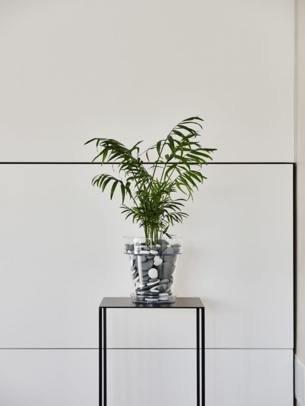 Lillepott Porto Ø20x h21,5cm läbipaistev