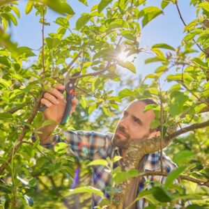 Oksakäärid Gardena PremiumCut Pro​ Flex