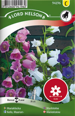 Keskmine kellukas 1575s