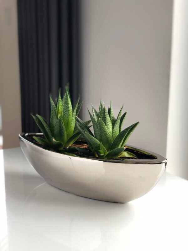 Lillepott Laevuke Ø40x14x h14cm hõbedane