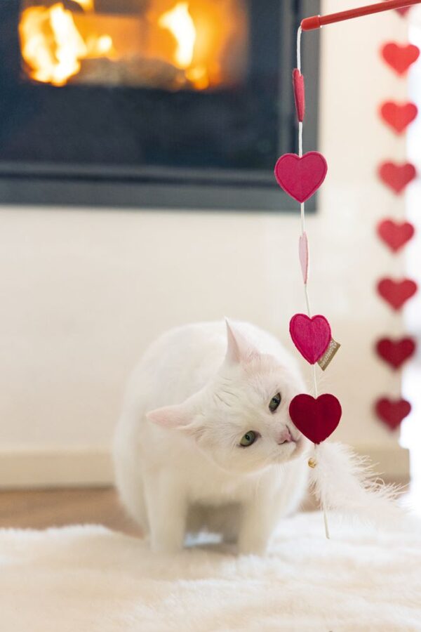 Mänguasi kassile õng südamed punane 50cm