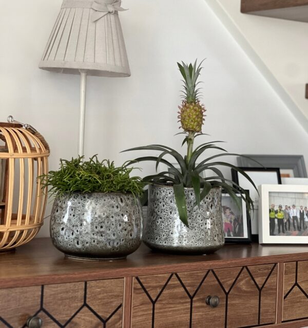 Lillepott Vintage Ø17x h13cm hall