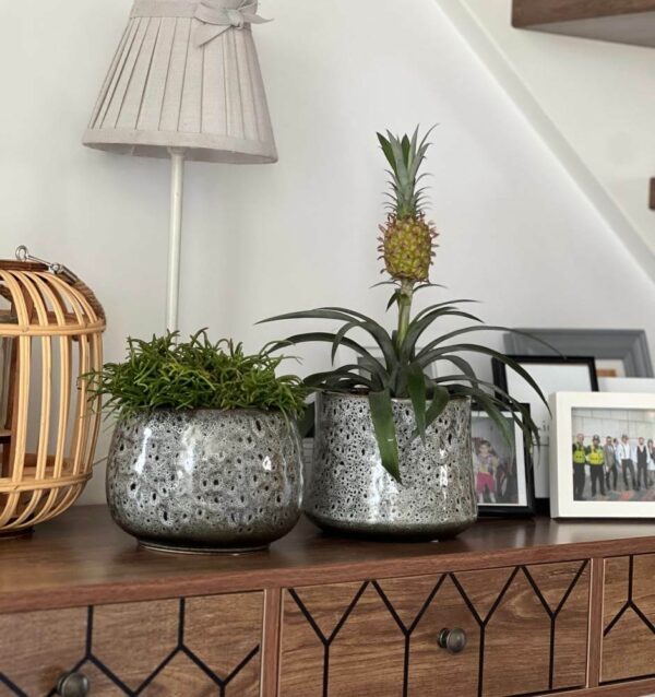 Lillepott Vintage ümar Ø17x h13cm hall