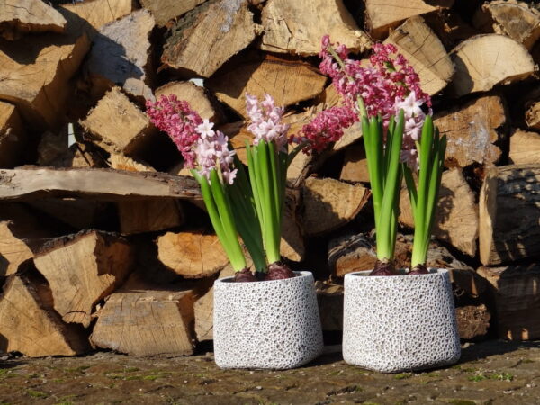 Ümbrispott Rustic Ø19x h16cm hall