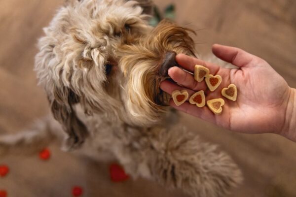 Maiustus koerale südamed 400g