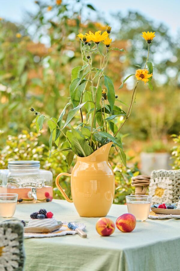 Kann emailist kollane 2,5L