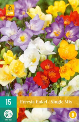 Freesia Single Mix 15tk