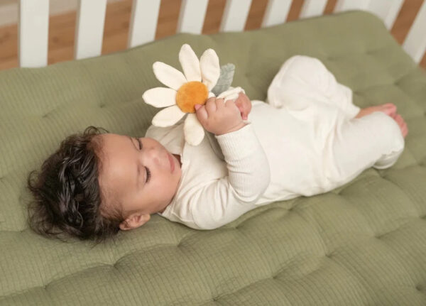 Kõristiga lill Little Farm 17x14x3cm