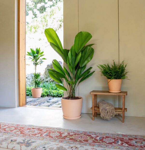 Savipott Artevasi Emilia Ø17cm helepruun