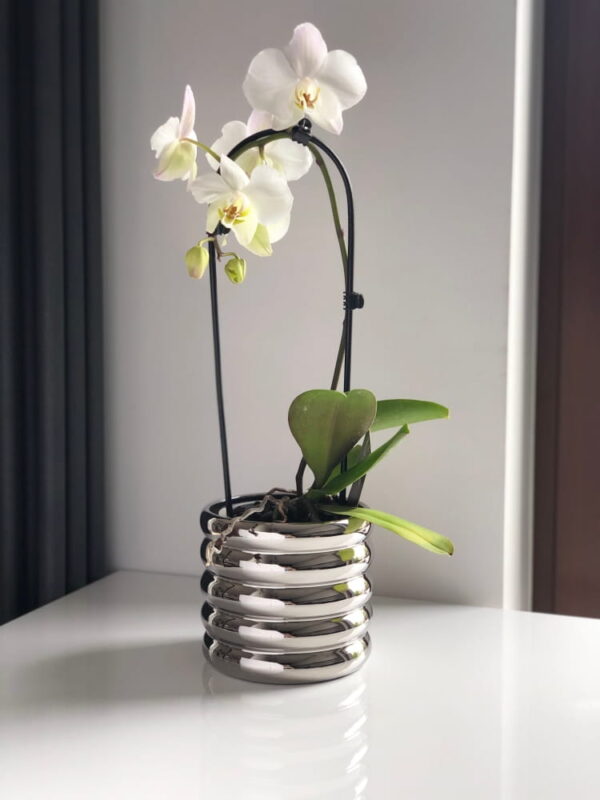 Lillepott Moon Ø14x h14cm hõbedane