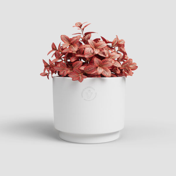 Lillepott Echo Ø24cm valge