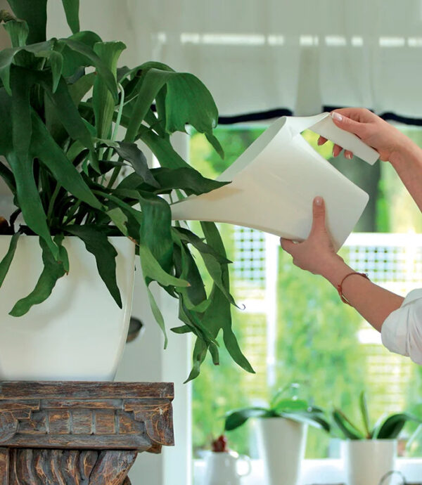 Kastekann Coubi 2L roheline