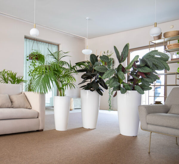 Lillepott Santorini Ø33x h65cm valge