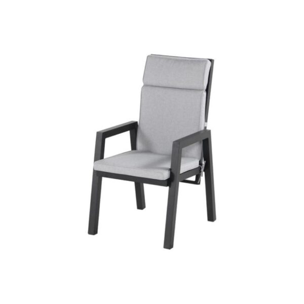 Aiatool Ancona reguleeritava seljatoega