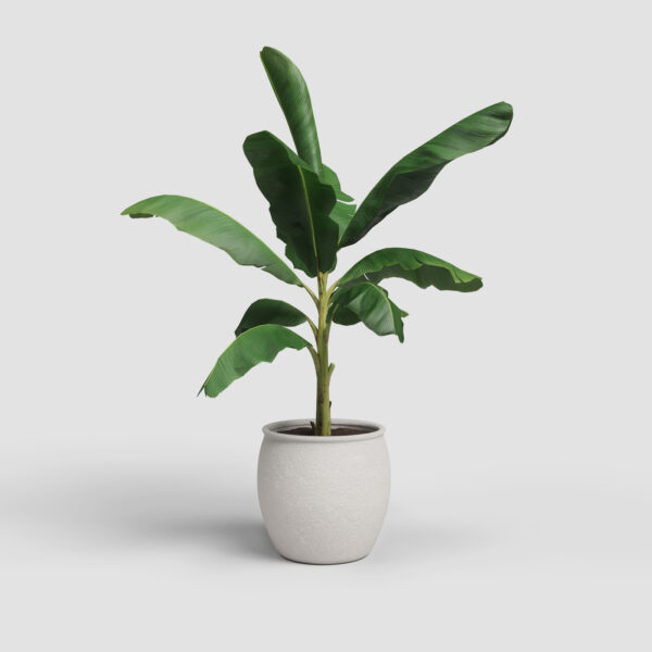 Lillepott Artemis Ø29cm valge