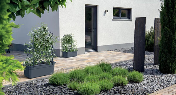 Lillekast ronitaimedele Bloma 58x28,8x h22,5cm antratsiit