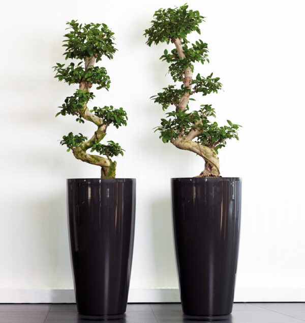 Lillepott Santorini Ø33x h65cm antratsiit