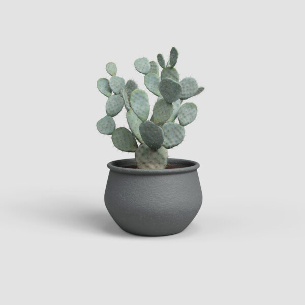 Lillepott Artemis Bowl Ø21cm madal antratsiit