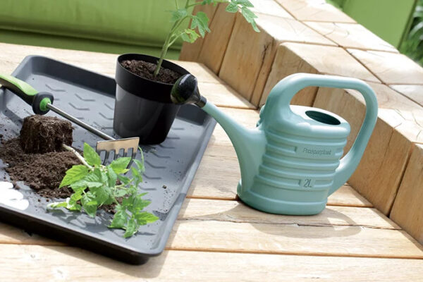 Kastekann Zebra 5L roheline