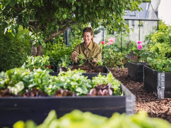 Kekkilä Taimemuld Kestlik+ 10L