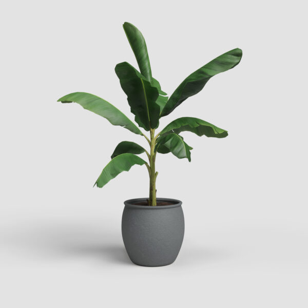 Lillepott Artemis Ø29cm antratsiit